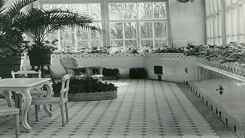 зимний сад дома всеволожских в рябово архивные фото (ВСЕВОЛОЖСК)