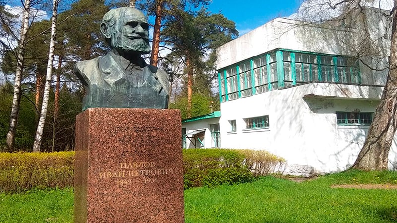 памятник Павлову Ивану Петровичу в Павлово Ленинградская область
